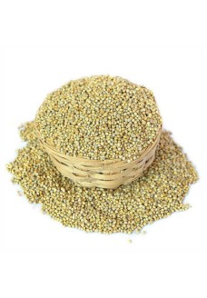 Bajra - Pearl Millet